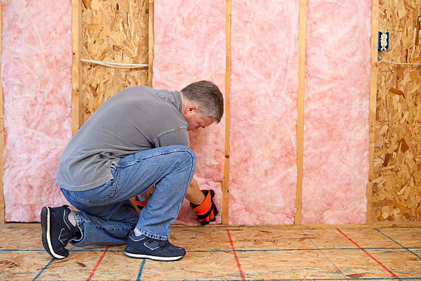 Best DIY Insulation Kits and Guidance in South St Paul, MN