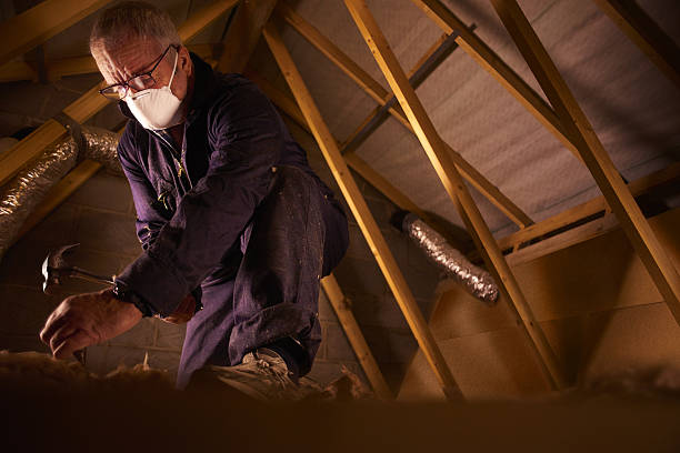 Reliable South St Paul, MN Insulation Contractor Solutions