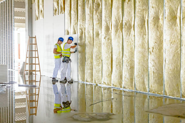 Best Specialized Insulation Services in South St Paul, MN